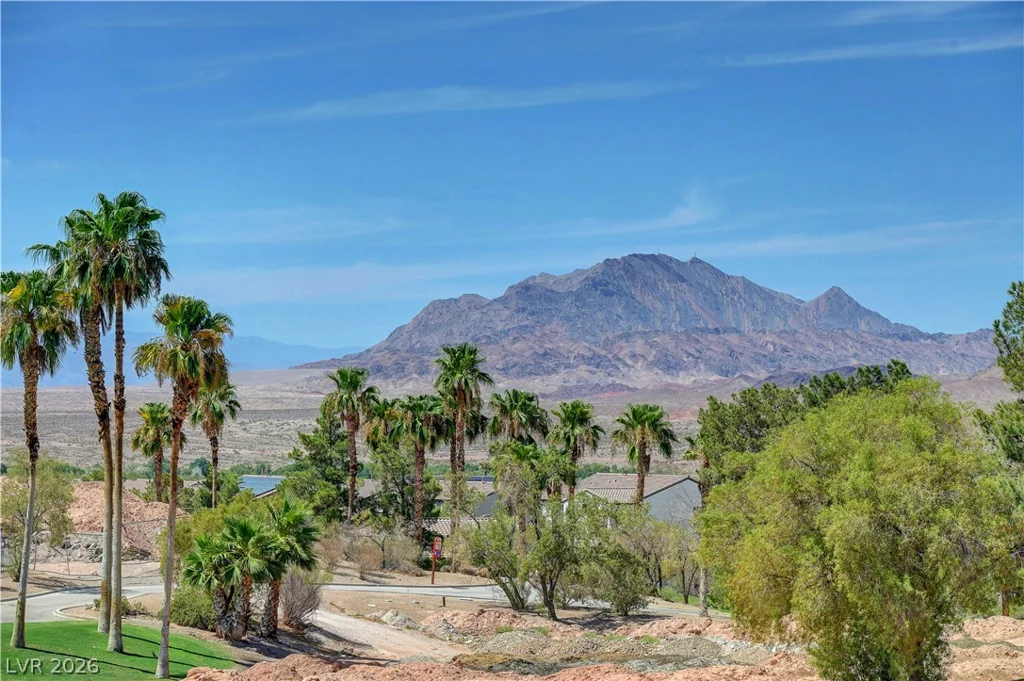436 Via Del Foro, Henderson, NV 89011