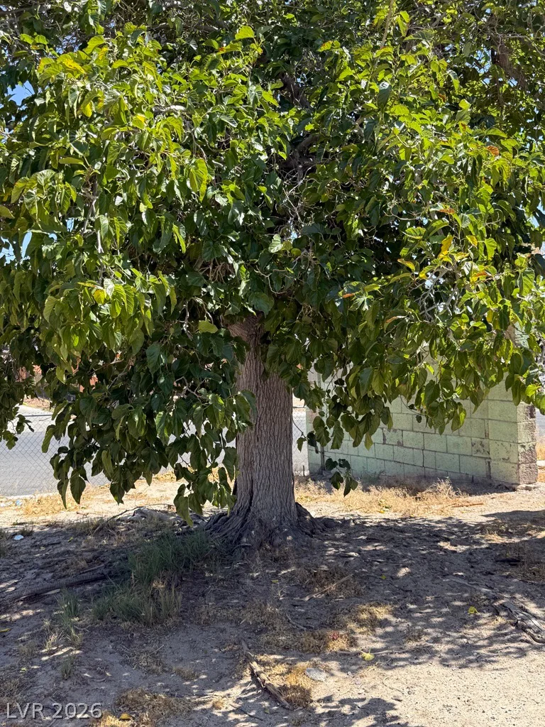 2958 Ferndale, Las Vegas, NV 89121