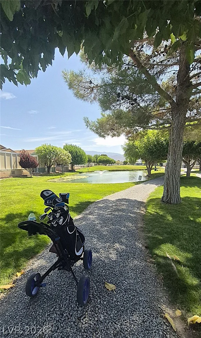 540 Montecito, Pahrump, NV 89048