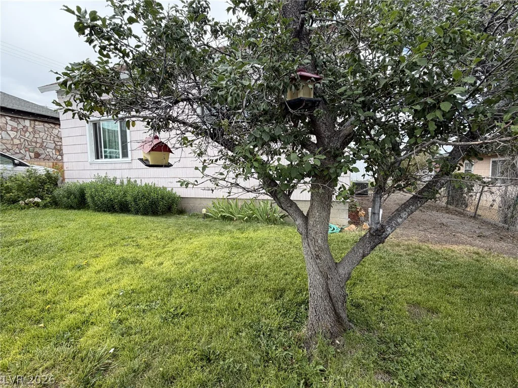 29 Avenue D, McGill, NV 89318