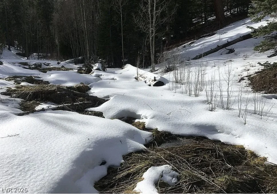 0 Deer Creek, Mount Charleston, NV 89124
