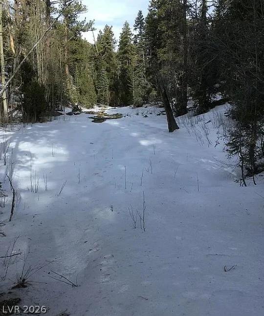 0 Deer Creek, Mount Charleston, NV 89124