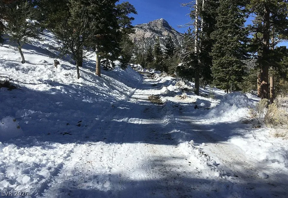 0 Deer Creek, Mount Charleston, NV 89124