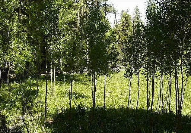 0 Deer Creek, Mount Charleston, NV 89124