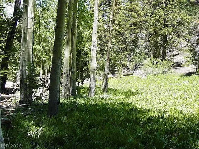 0 Deer Creek, Mount Charleston, NV 89124