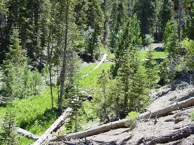 0 Deer Creek, Mount Charleston, NV 89124