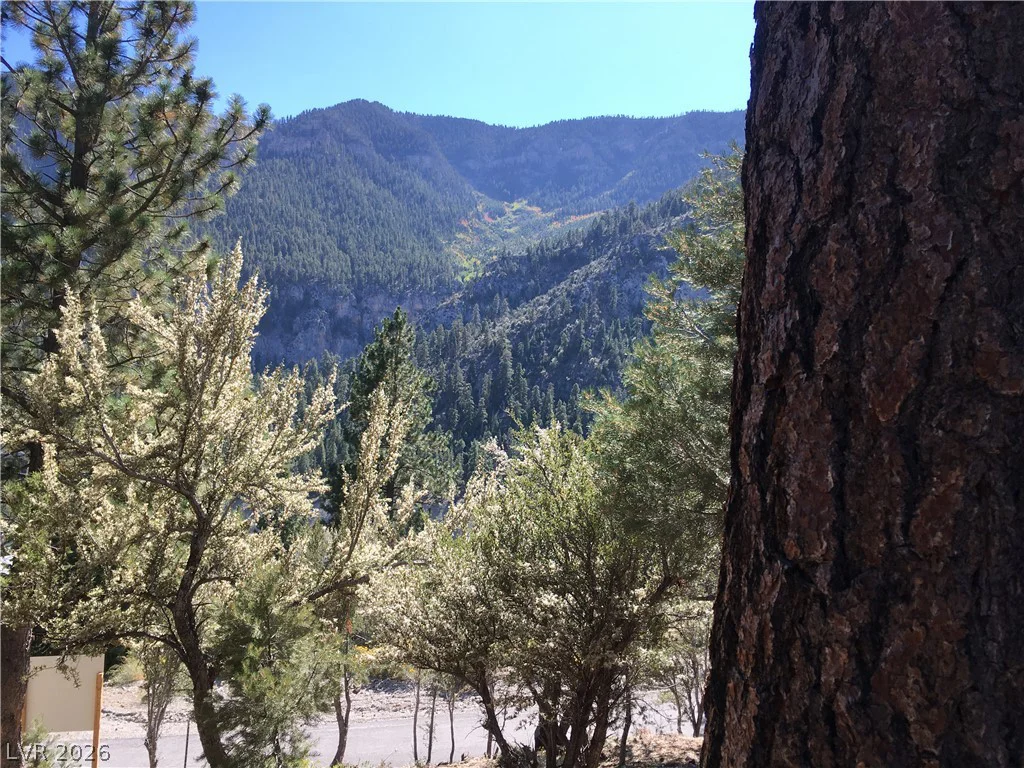 4878 Snow White, Mount Charleston, NV 89124