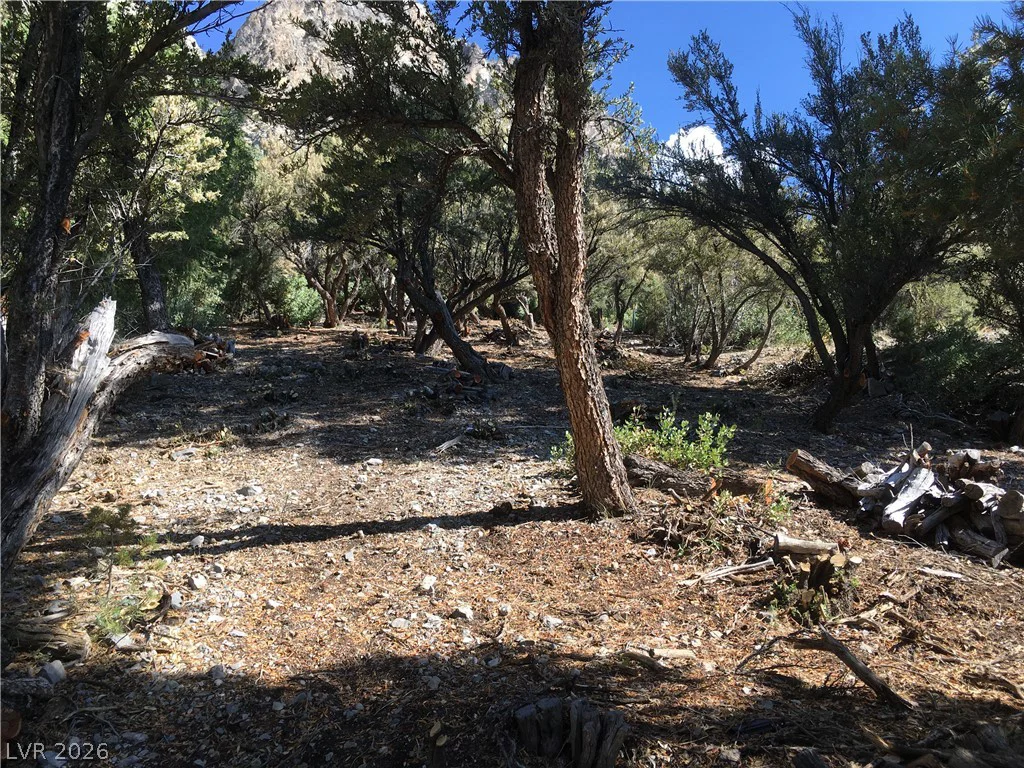 4878 Snow White, Mount Charleston, NV 89124