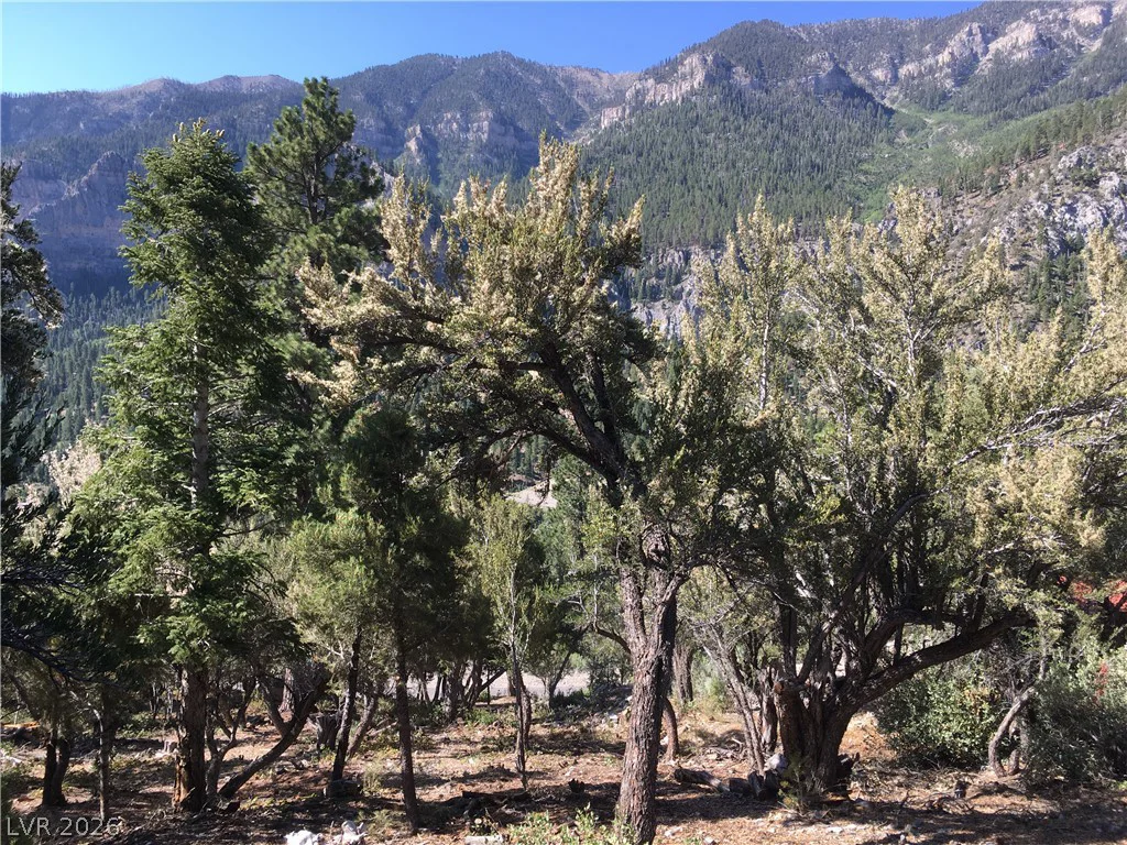 4878 Snow White, Mount Charleston, NV 89124