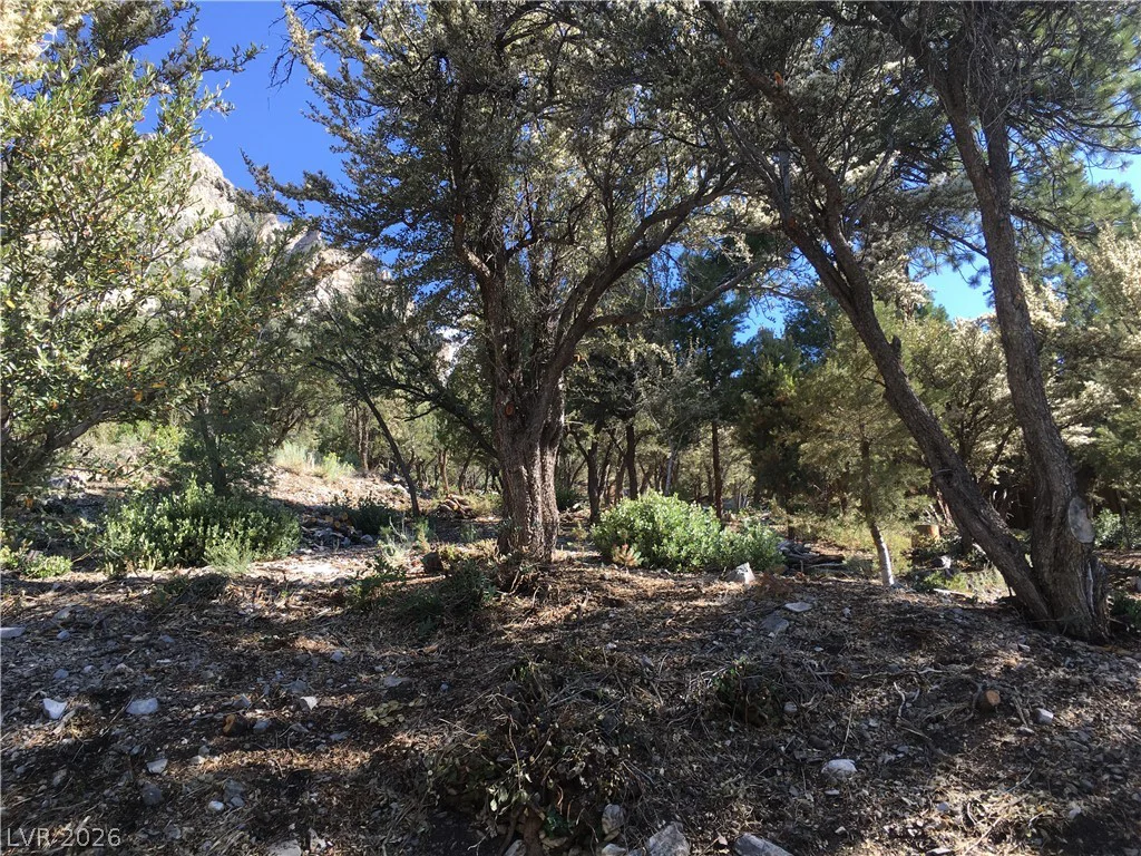 4878 Snow White, Mount Charleston, NV 89124
