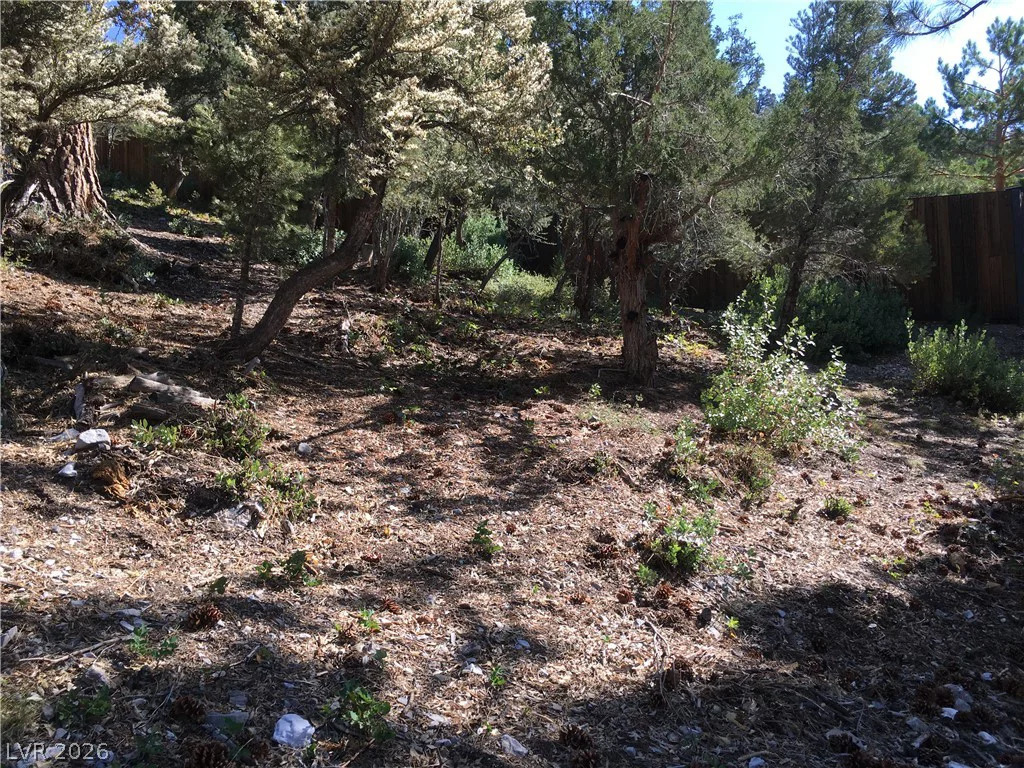 4878 Snow White, Mount Charleston, NV 89124