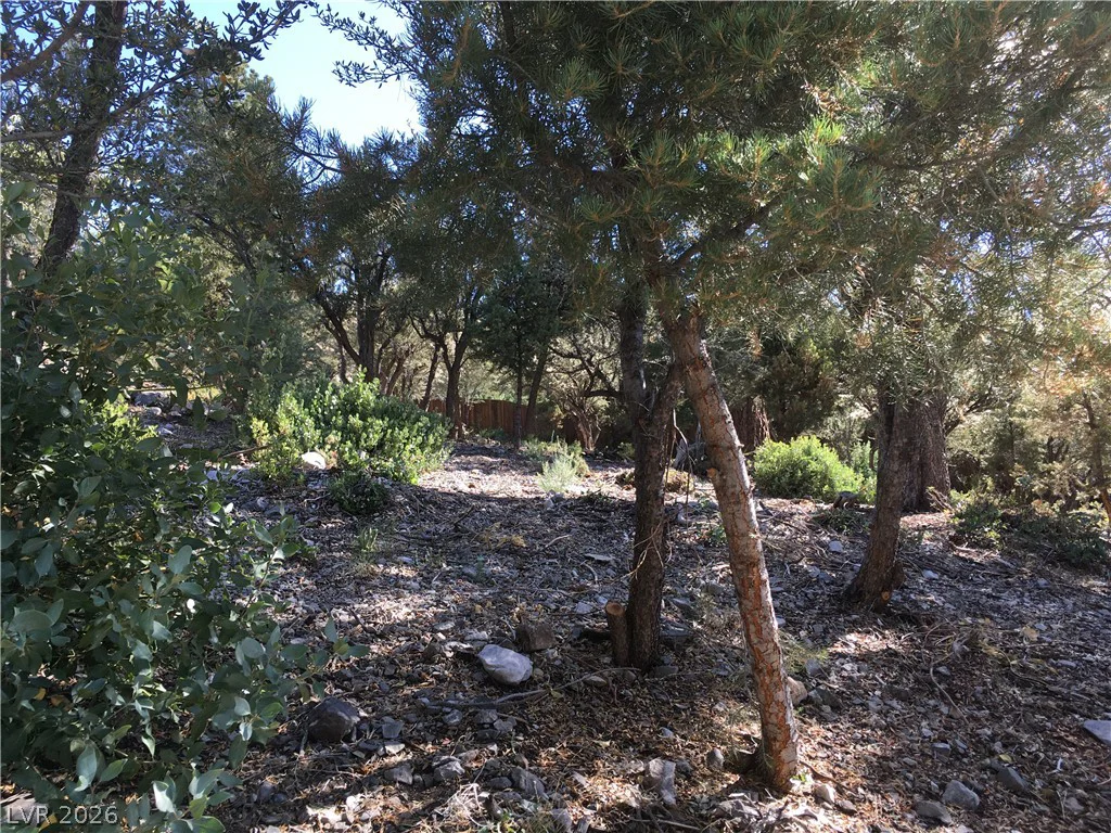 4878 Snow White, Mount Charleston, NV 89124