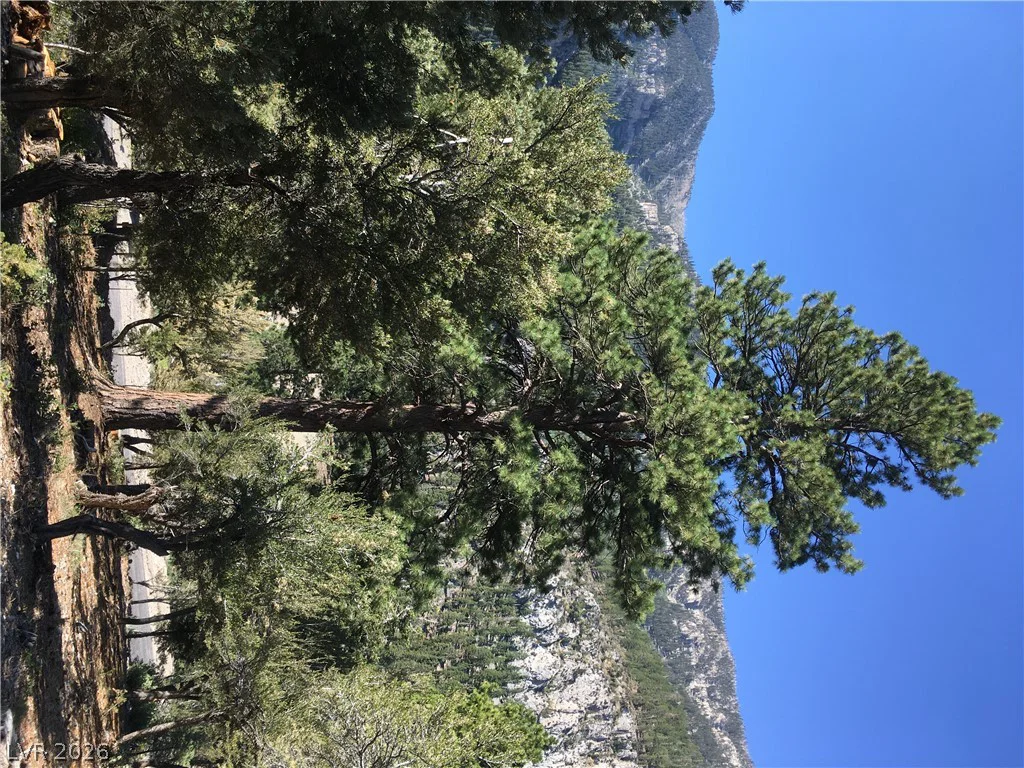 4878 Snow White, Mount Charleston, NV 89124
