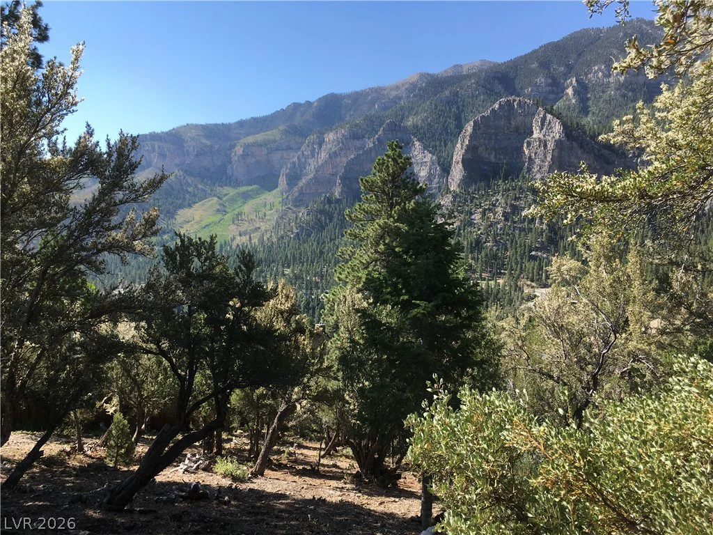 4878 Snow White, Mount Charleston, NV 89124