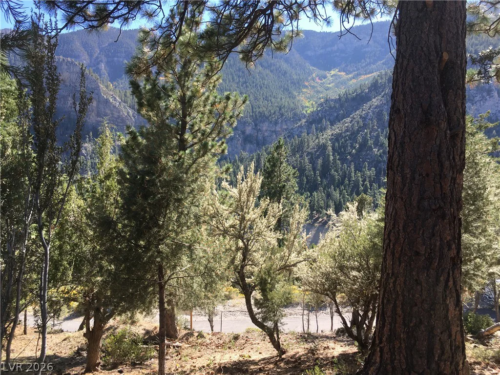 4878 Snow White, Mount Charleston, NV 89124