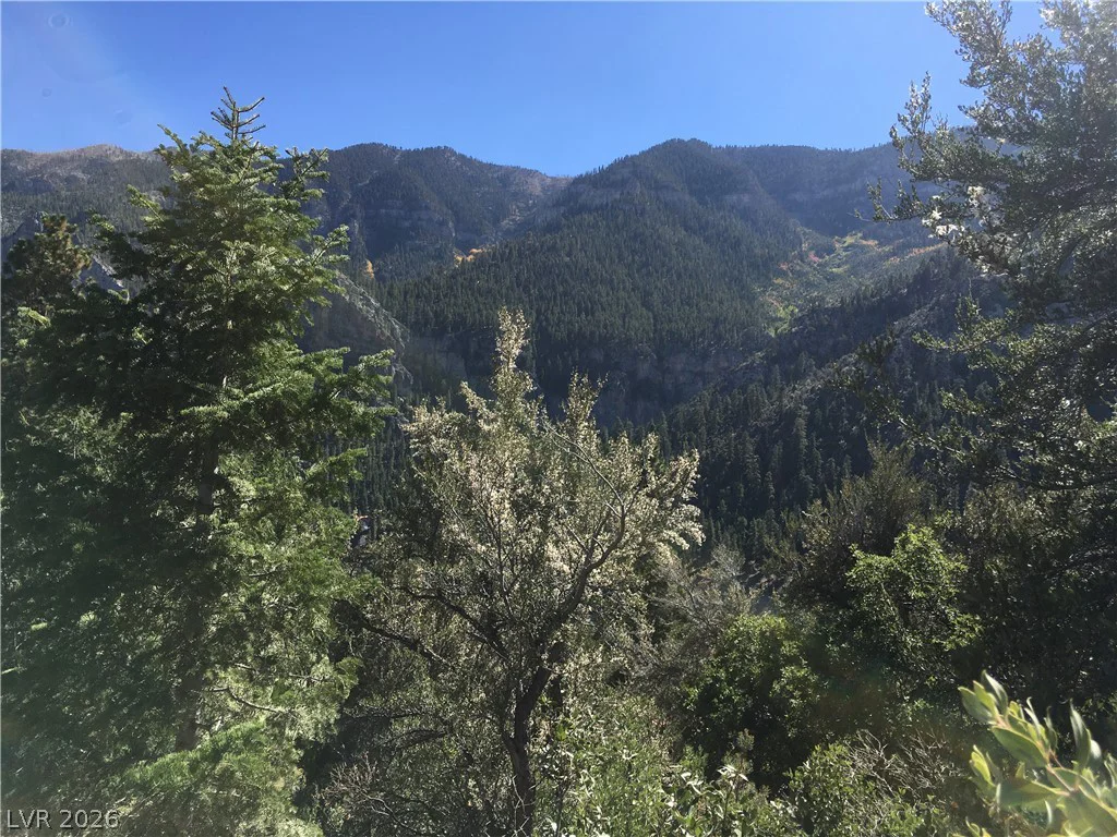 4878 Snow White, Mount Charleston, NV 89124