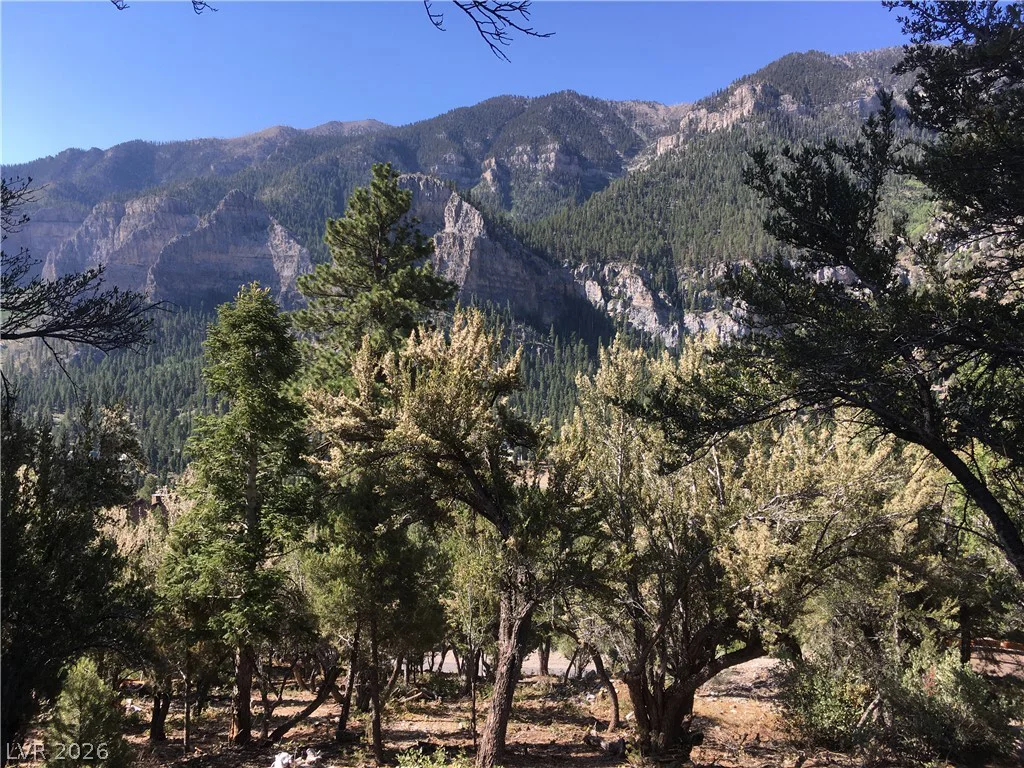 4878 Snow White, Mount Charleston, NV 89124