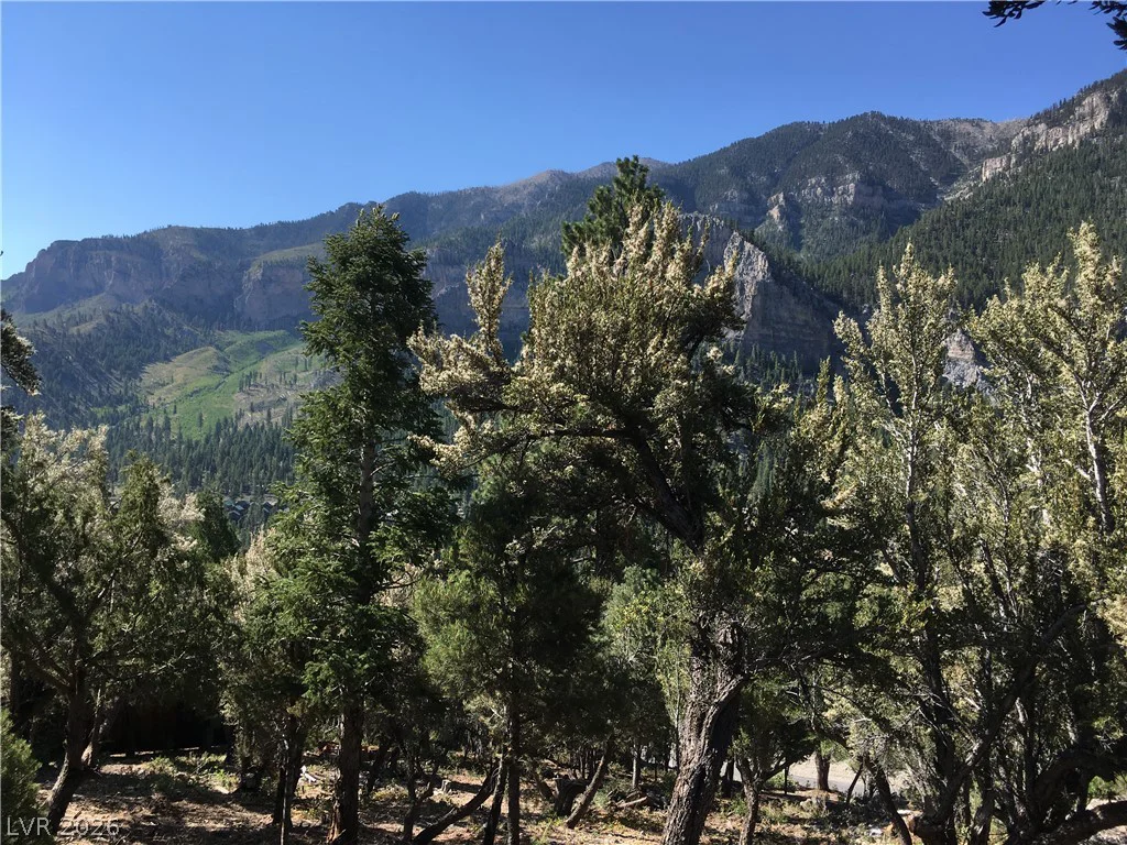 4878 Snow White, Mount Charleston, NV 89124
