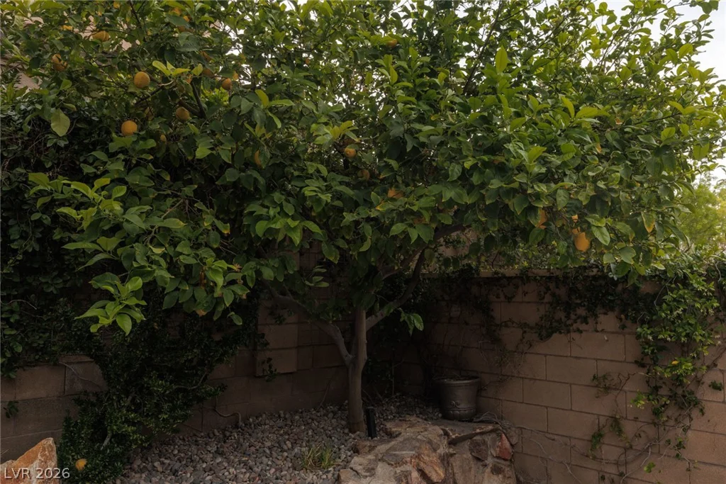 9795 Amador Ranch, Las Vegas, NV 89149