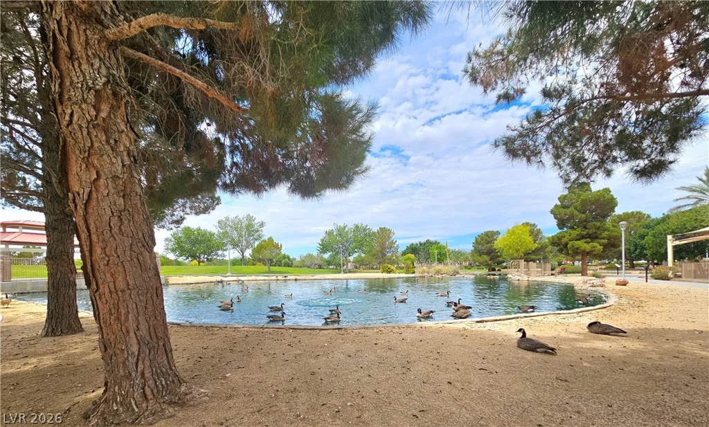 6729 Sea Swallow, North Las Vegas, NV 89084