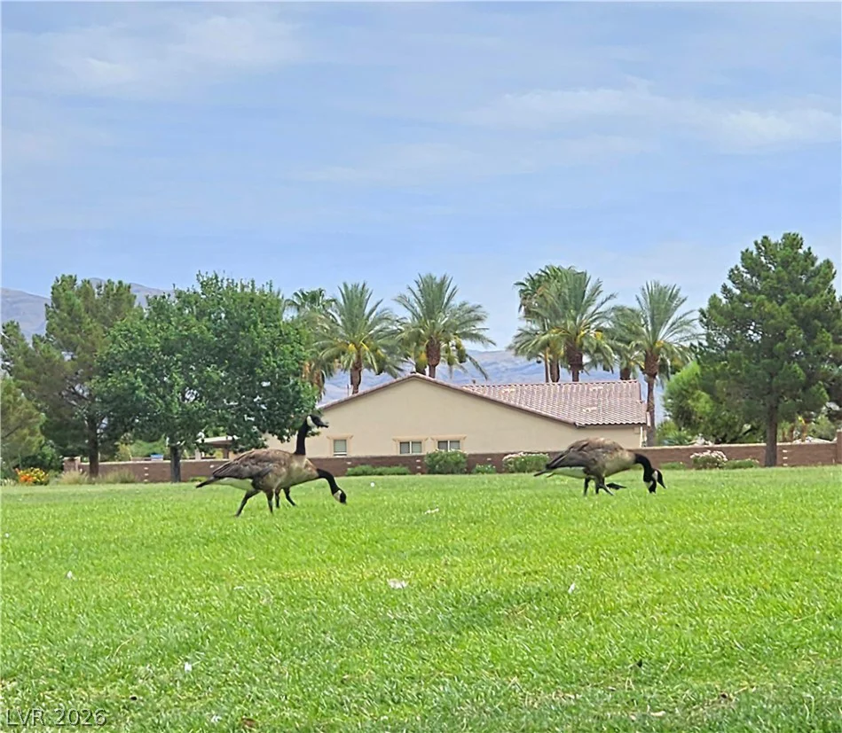 6729 Sea Swallow, North Las Vegas, NV 89084