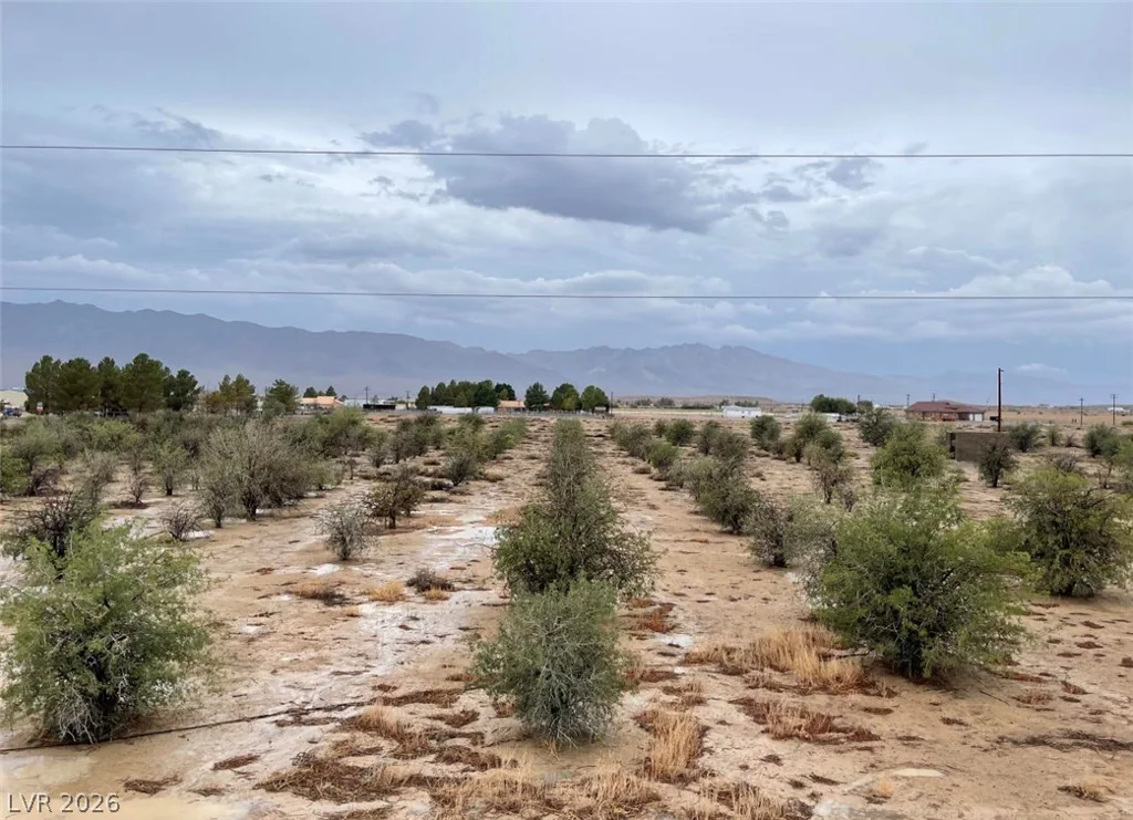Bond, Pahrump, NV 89048