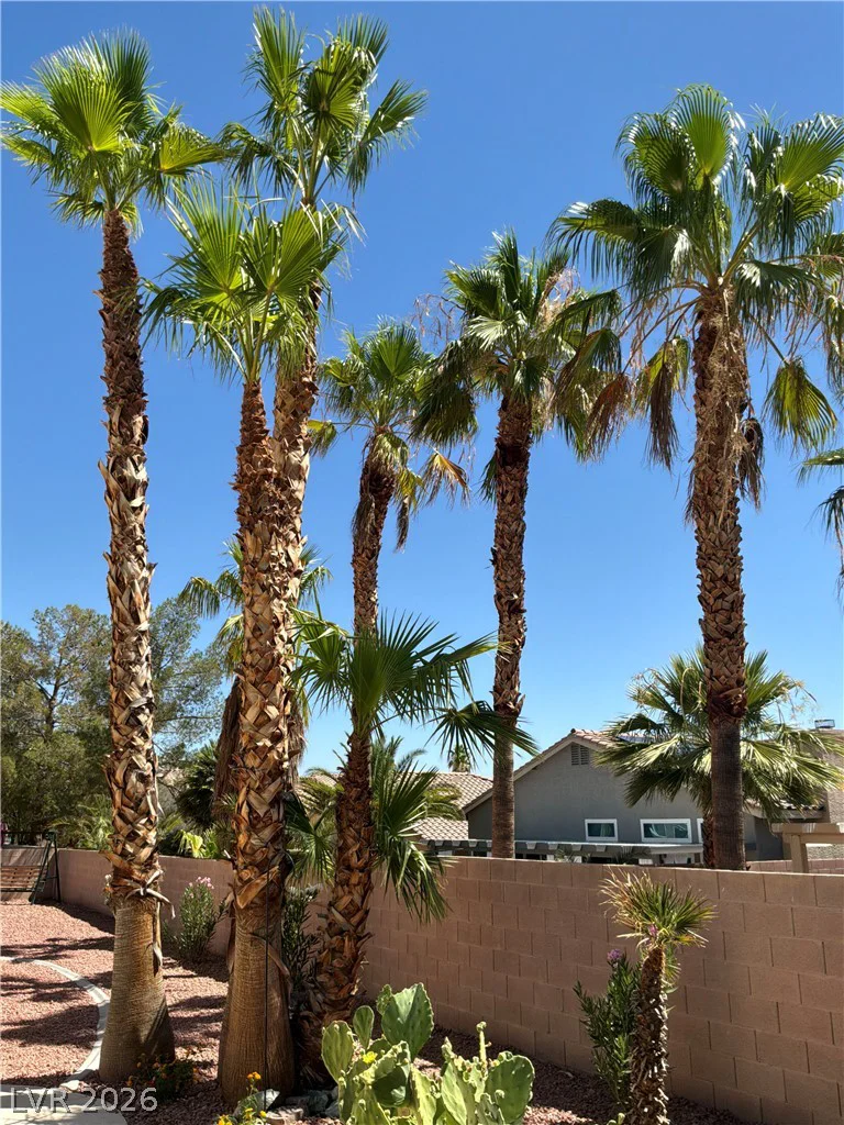 3240 Ariba, Las Vegas, NV 89129