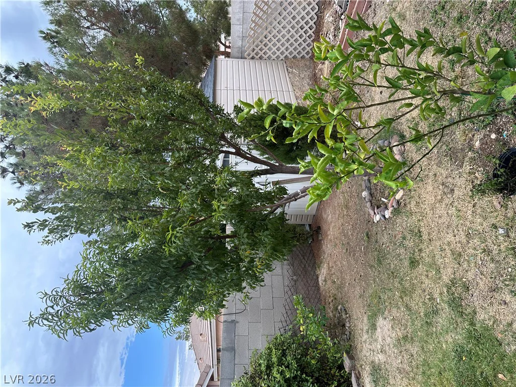 10126 Pennyroyal, Las Vegas, NV 89183