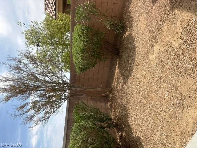 8116 Celina Hills, Las Vegas, NV 89131
