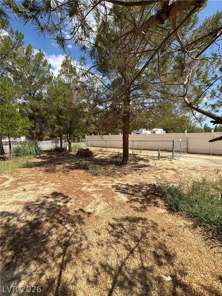 2481 Falcon, Pahrump, NV 89048