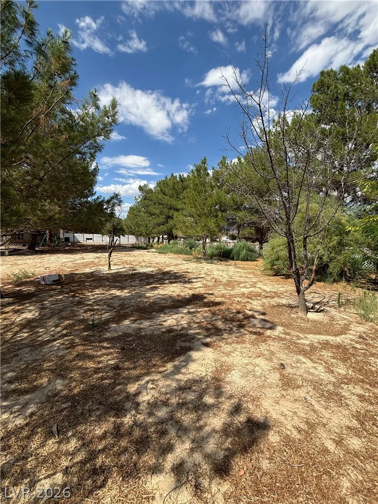 2481 Falcon, Pahrump, NV 89048