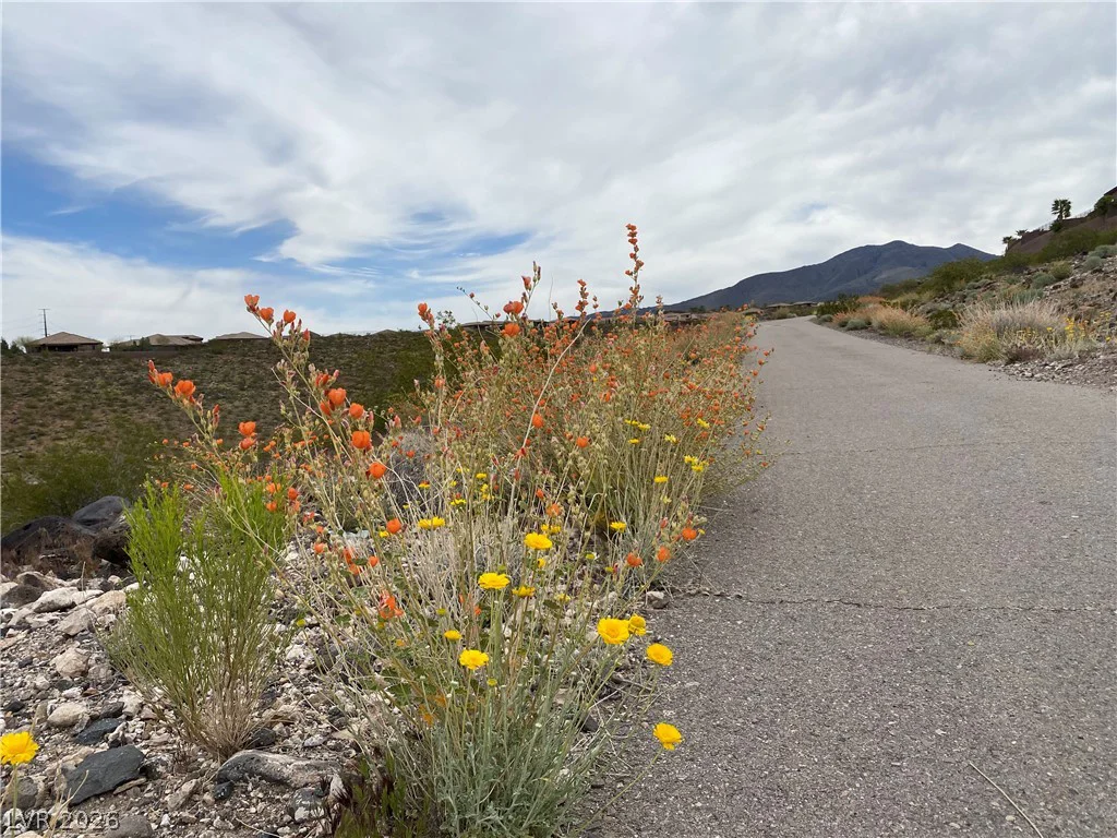 2676 Lochleven, Henderson, NV 89044