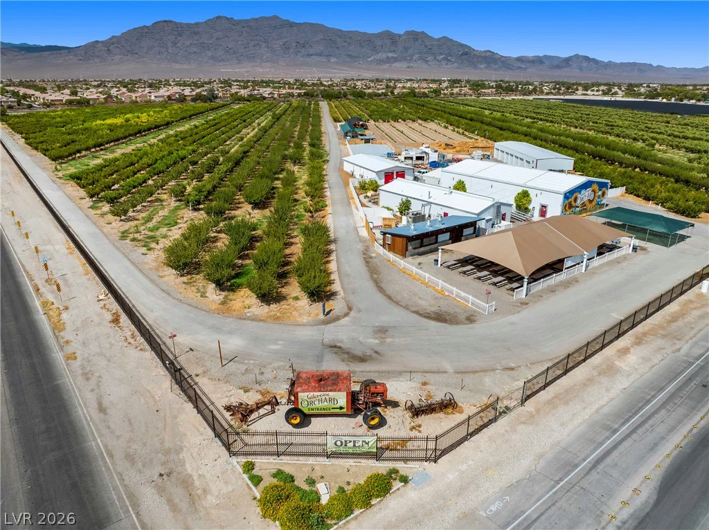 7230 Fresh Harvest, Las Vegas, NV 89131
