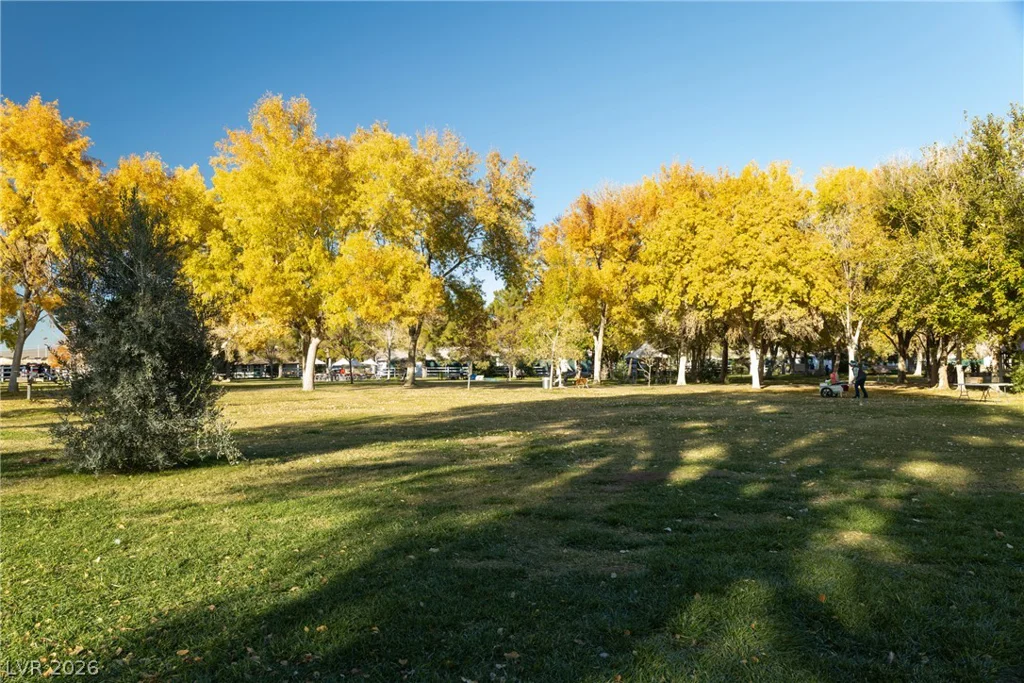 7230 Fresh Harvest, Las Vegas, NV 89131