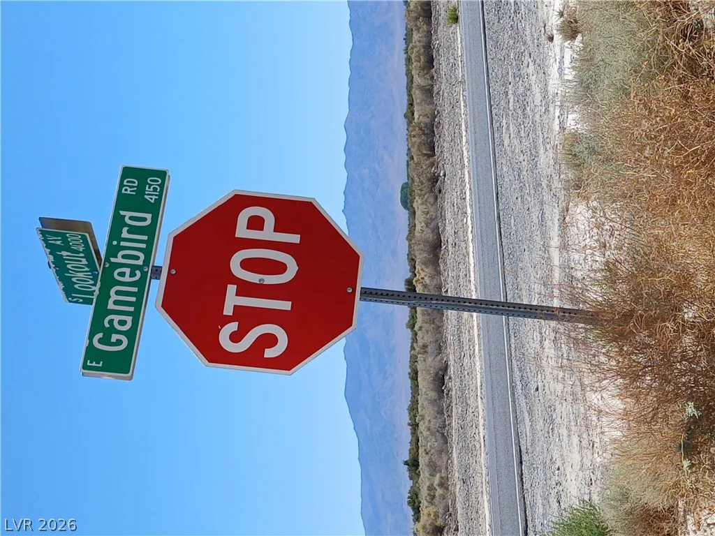 3981 Lookout, Pahrump, NV 89048