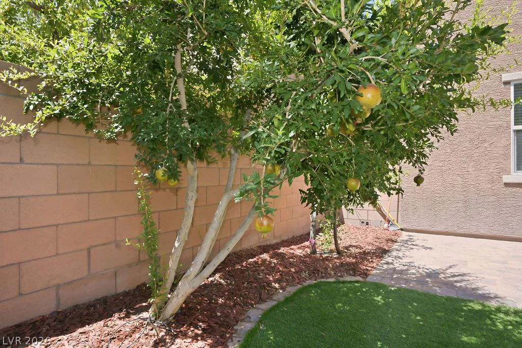 8727 Cerrito Canyon, Las Vegas, NV 89148