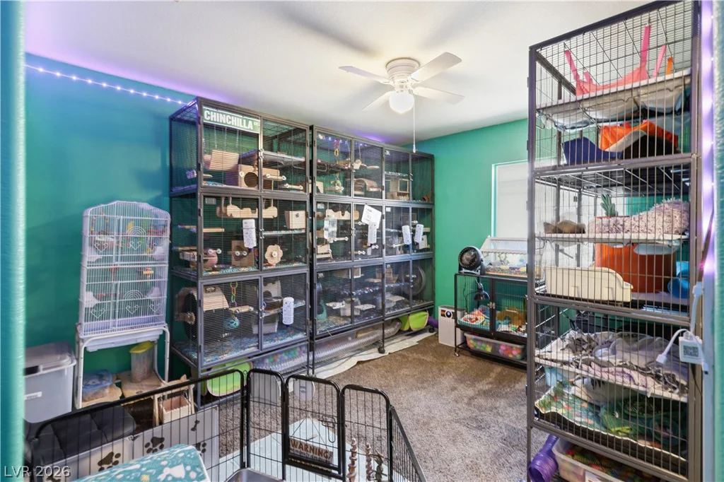 2730 Meadow Spring, Las Vegas, NV 89156