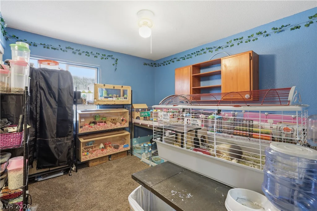 2730 Meadow Spring, Las Vegas, NV 89156