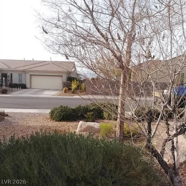 1652 Black Fox Canyon, Henderson, NV 89052