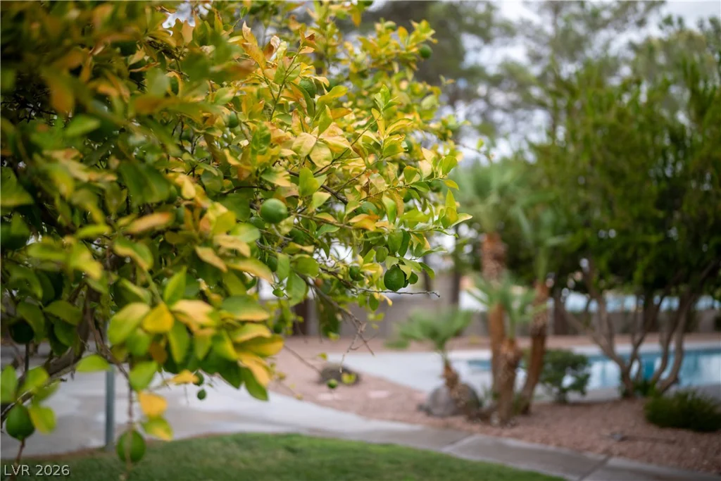 18 Hummingbird, Henderson, NV 89014