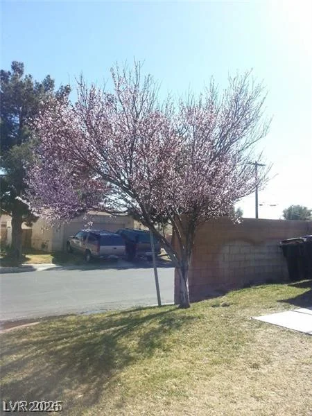 2301 Shady Hill, Las Vegas, NV 89106