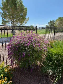 5119 Long Leaf, Pahrump, NV 89061