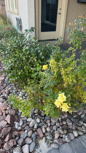 5119 Long Leaf, Pahrump, NV 89061