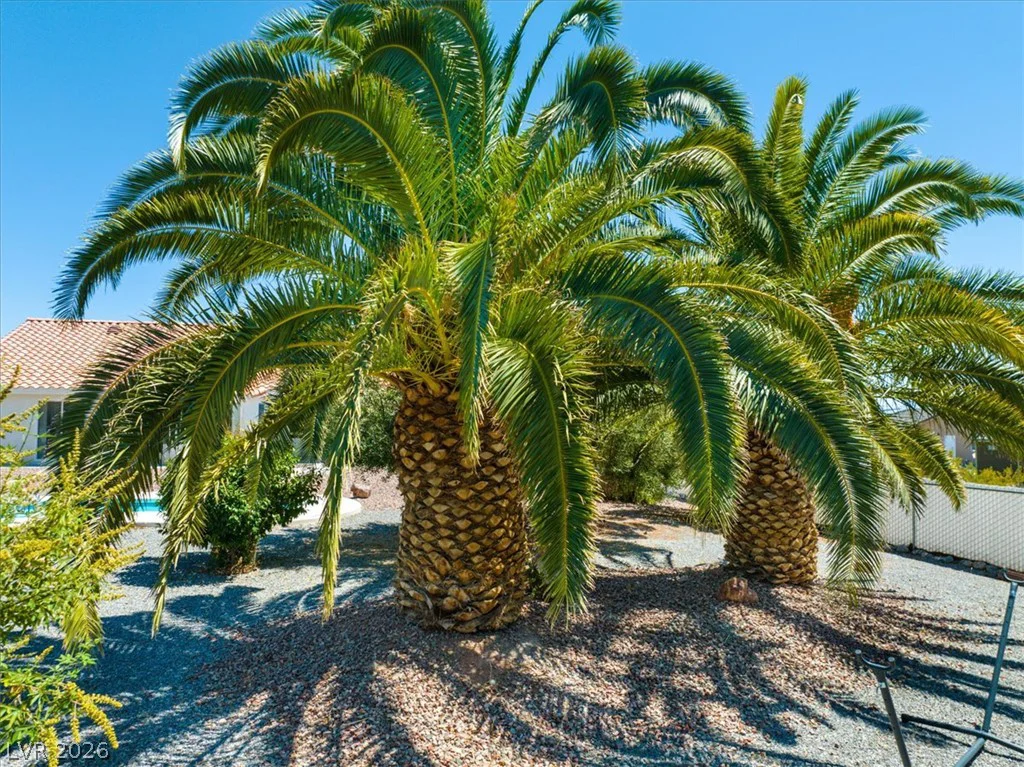 2300 Arado, Pahrump, NV 89048