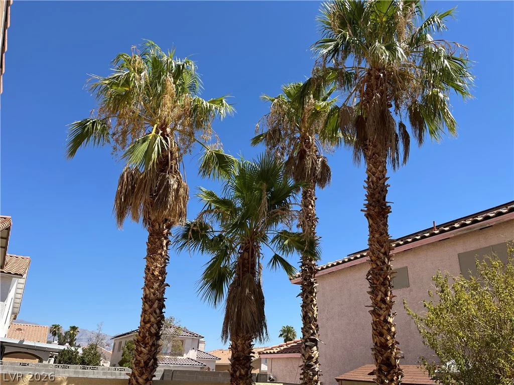 5028 Jacarilla, North Las Vegas, NV 89031
