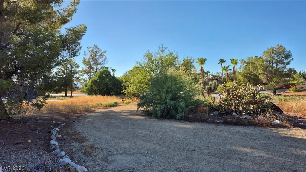 1091 Amarillo, Pahrump, NV 89048