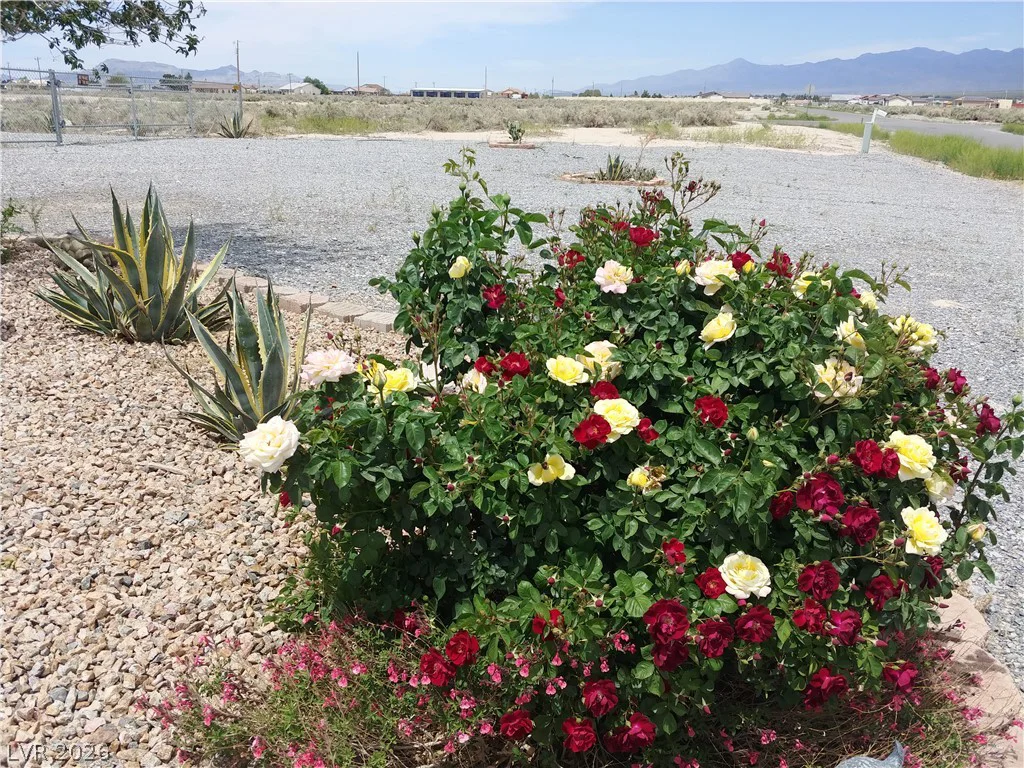 3550 Underbrush, Pahrump, NV 89048