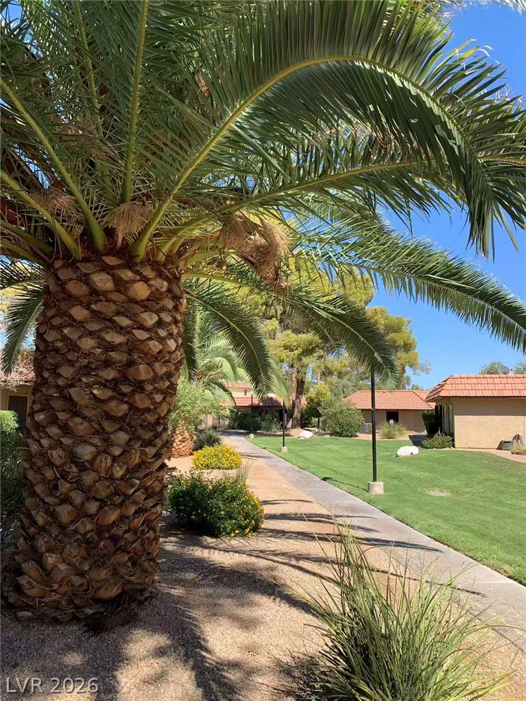 1897 Avacado, Henderson, NV 89014