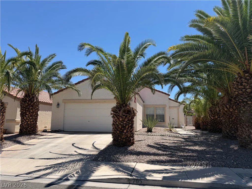 705 Salt Flats, Henderson, NV 89011