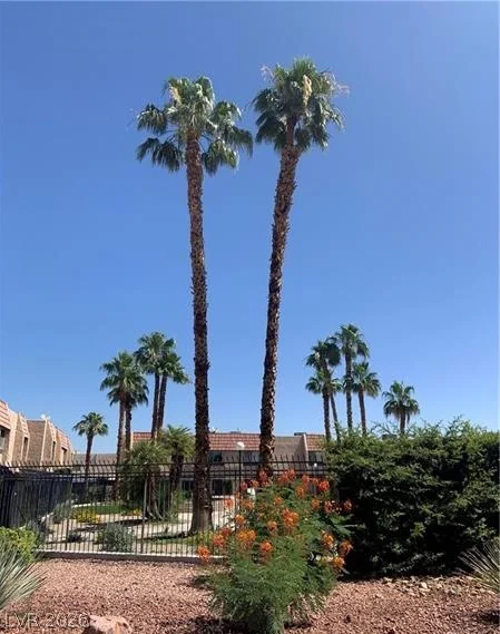 6441 Brushwood, Las Vegas, NV 89107